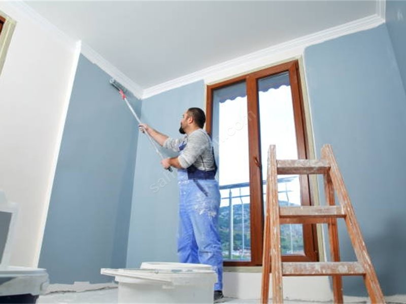 Günyüzü Boya Badanacı