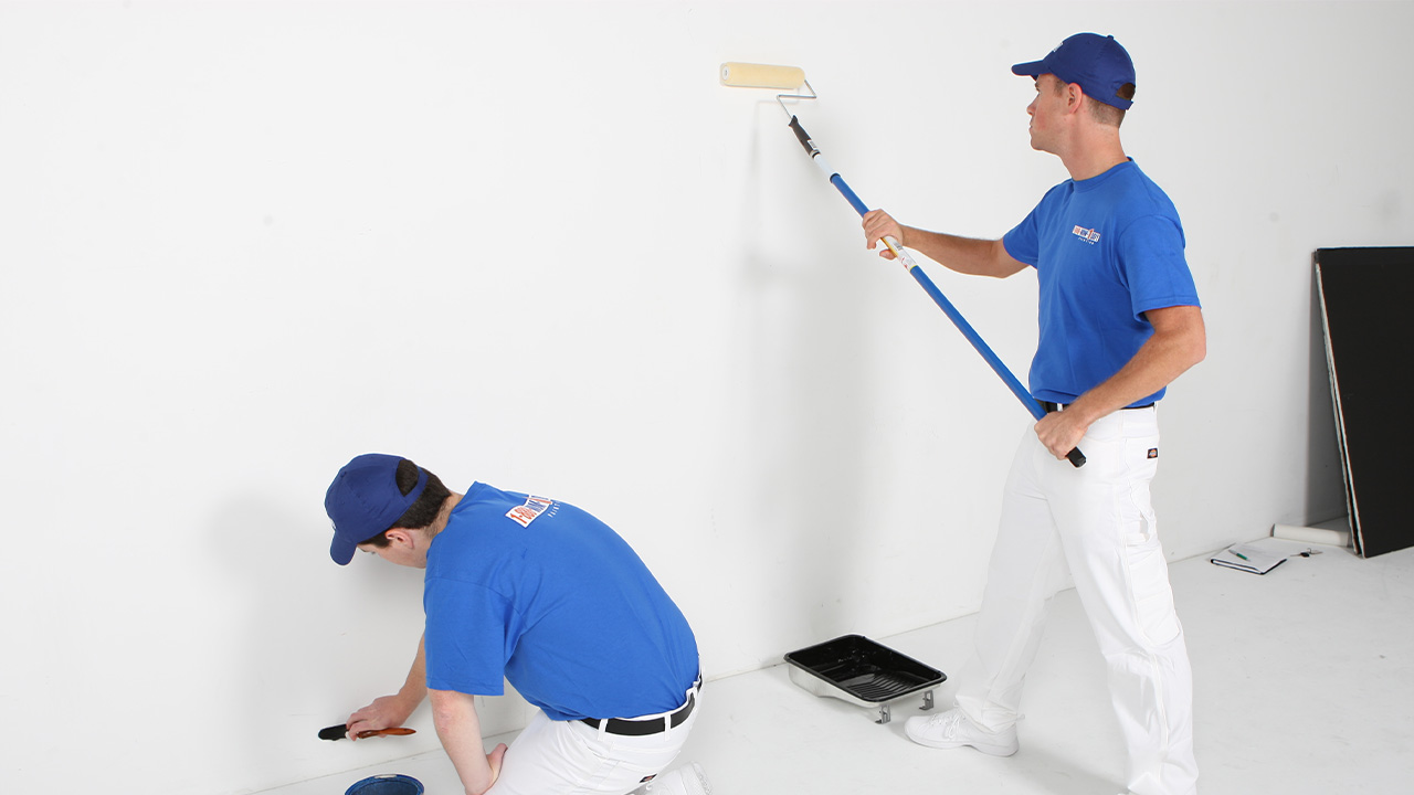 Günyüzü Boya Badanacı